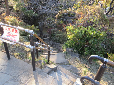 232戸山公園16