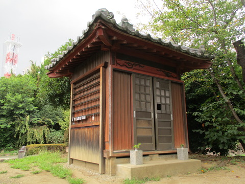 11下沼公園7