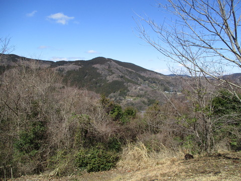 123公園5