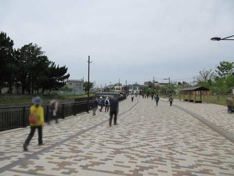 14石神井川沿い４