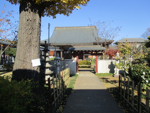 121善徳寺4