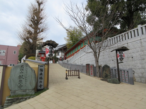 08放生寺
