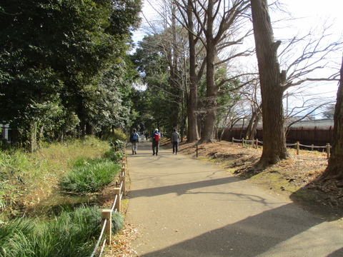 58散歩道17