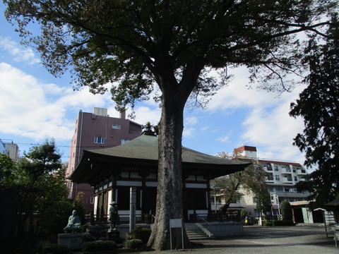 161総持寺30