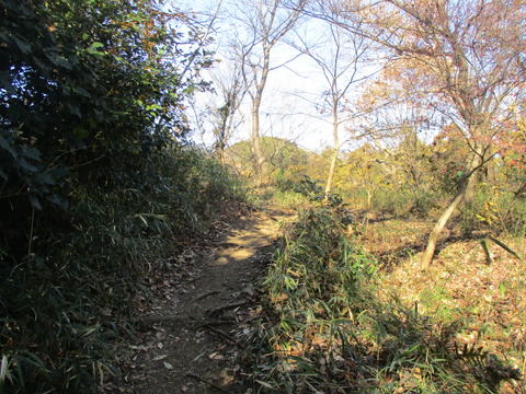 170果樹園3