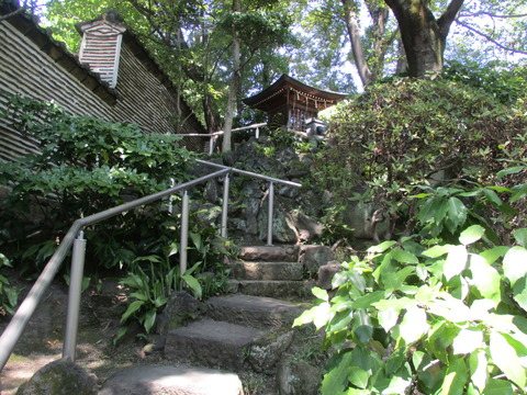 58庭園７