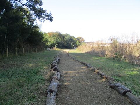 69堀・土塁5