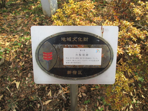 319新宿中央公園４