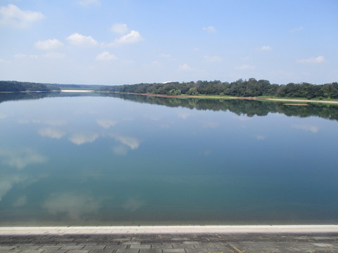 43多摩湖1