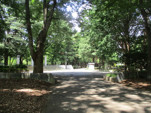 12砧公園6