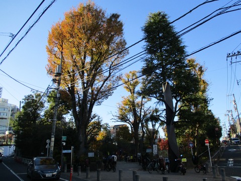 141鍋島松濤公園11