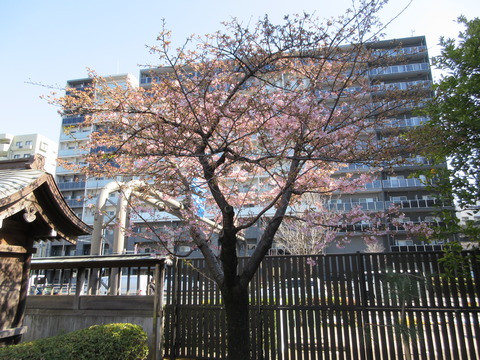 235覚林寺２５
