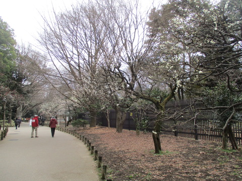 08散歩道2