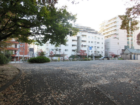 235戸山公園19