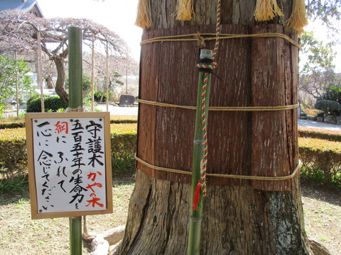 123かやの木2