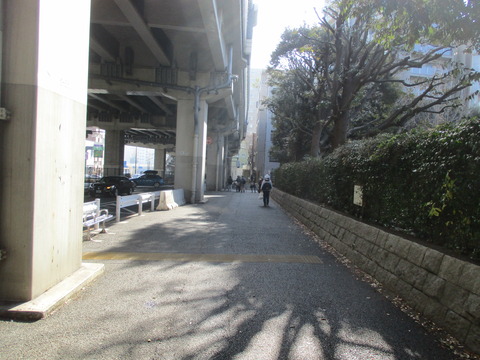 08雑司ヶ谷霊園