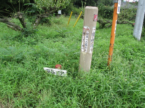 89梅ヶ井2