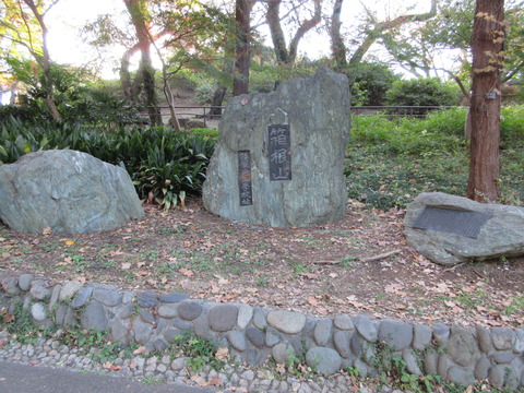 220戸山公園4