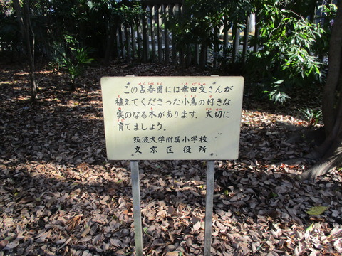 55占春園5