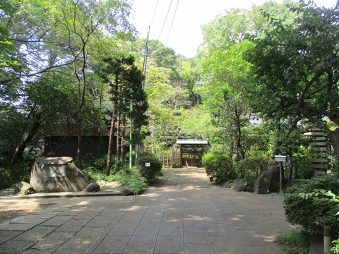 14市民緑地4