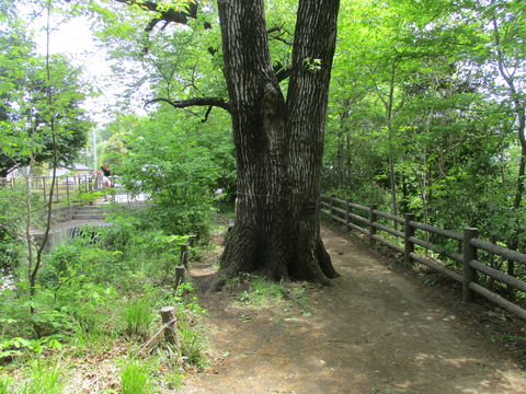 92百石橋1