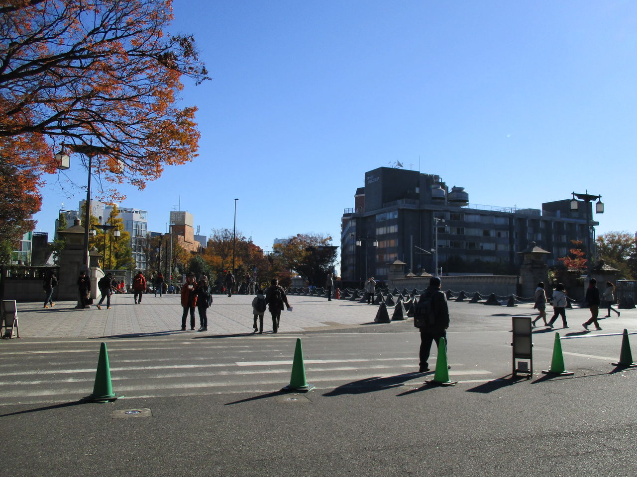 駅からハイキングに行ってきました♪ : 代々木~原宿 ゆったりオシャレな長散歩