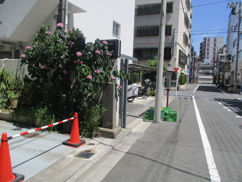 17市村座跡１