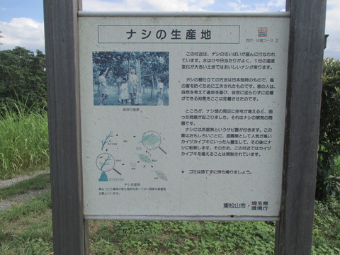 220ナシの生産地