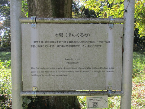 55本廓9