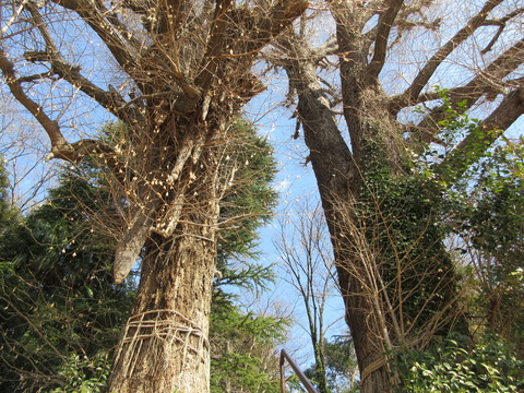 56水神社7
