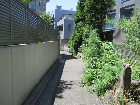 45旧いもり川道4