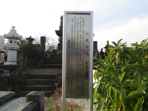 140傳通院20