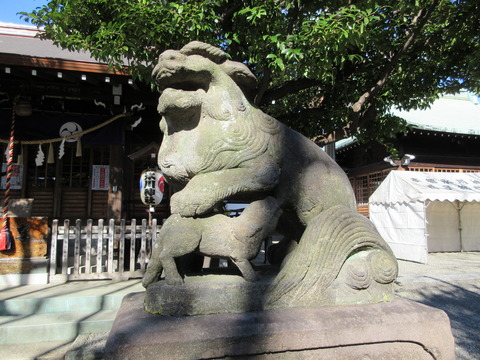 125本郷氷川神社6