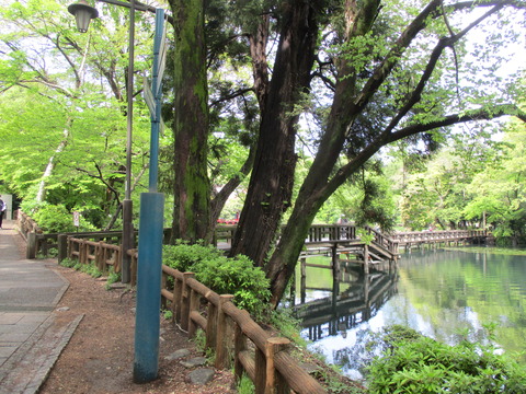17弁天橋1