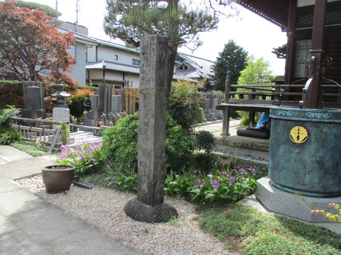 201称往院5