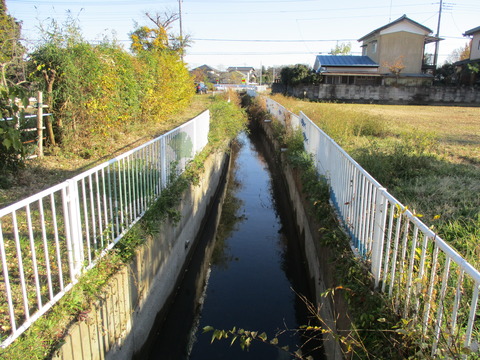 228再度新川用水2