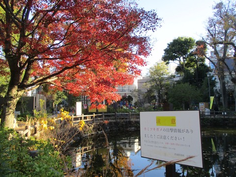138鍋島松濤公園8