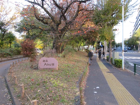 217戸山公園1