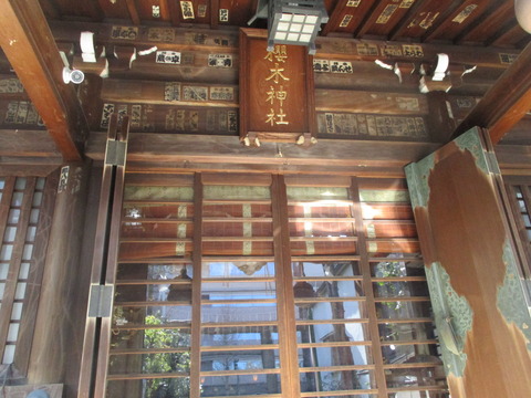 186桜木神社5