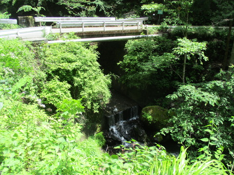 141小中沢橋の下