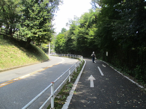 94多摩湖自転車歩行者道14