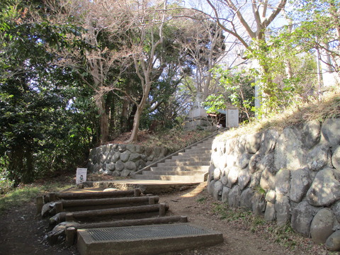 197吾妻神社1
