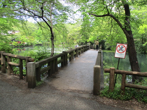 18弁天橋2