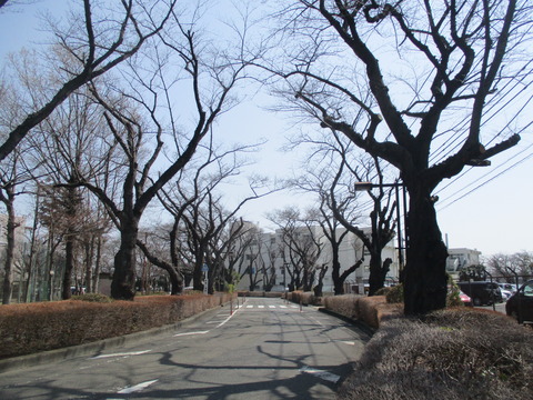 125泉市民体育館前1