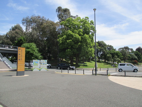 08夢の島公園１