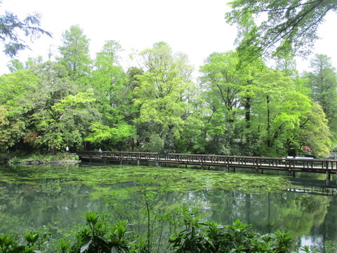 19弁天橋3