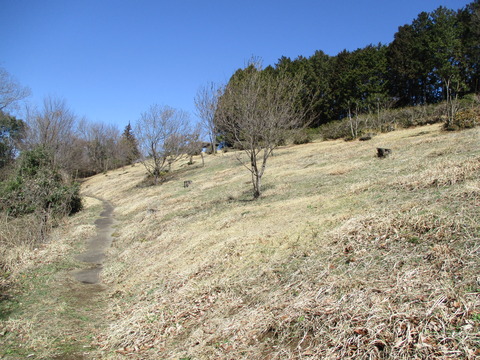 122公園4