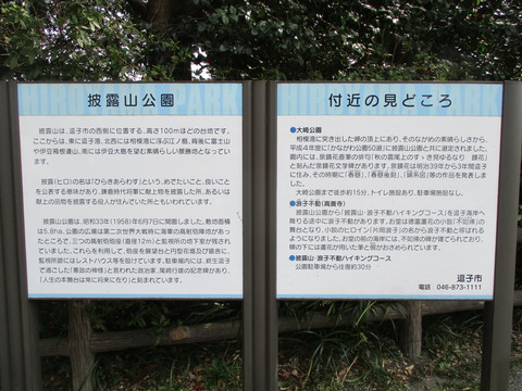 116披露山公園5