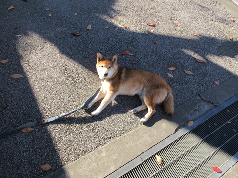 165感通寺21