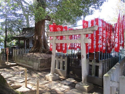 180諏訪神社２０